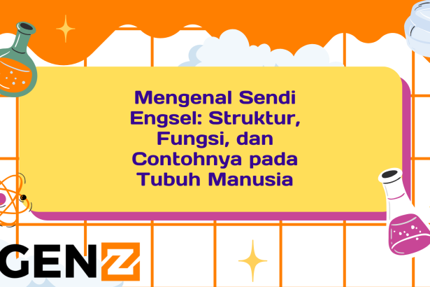 Mengenal Sendi Engsel: Struktur, Fungsi, dan Contohnya pada Tubuh Manusia