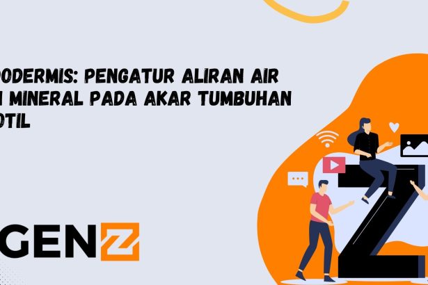 Endodermis: Pengatur Aliran Air dan Mineral pada Akar Tumbuhan Dikotil