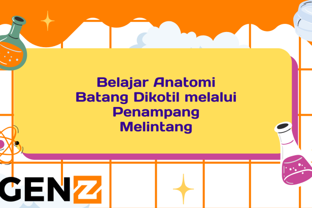 Belajar Anatomi Batang Dikotil melalui Penampang Melintang