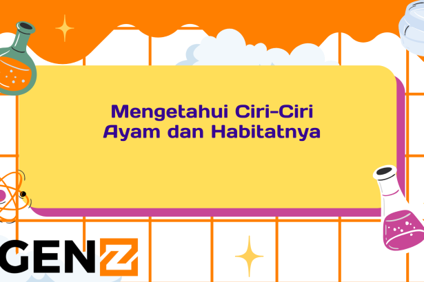 Mengetahui Ciri-Ciri Ayam dan Habitatnya