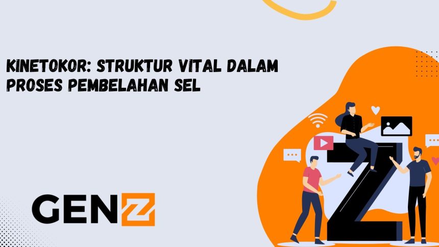 Kinetokor: Struktur Vital dalam Proses Pembelahan Sel