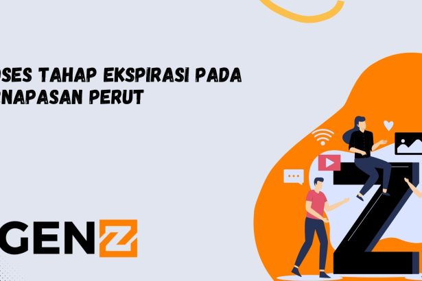 Proses Tahap Ekspirasi pada Pernapasan Perut