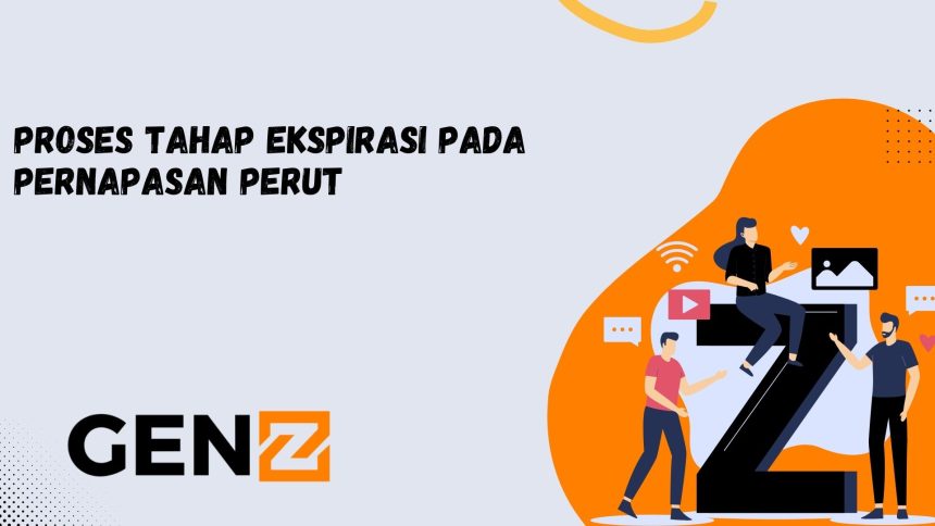 Proses Tahap Ekspirasi pada Pernapasan Perut