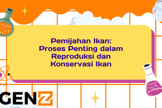 Pemijahan Ikan: Proses Penting dalam Reproduksi dan Konservasi Ikan