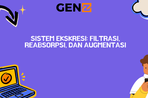 Sistem Ekskresi: Filtrasi, Reabsorpsi, dan Augmentasi