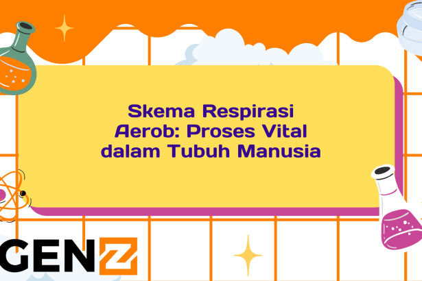 Skema Respirasi Aerob Proses Vital dalam Tubuh Manusia