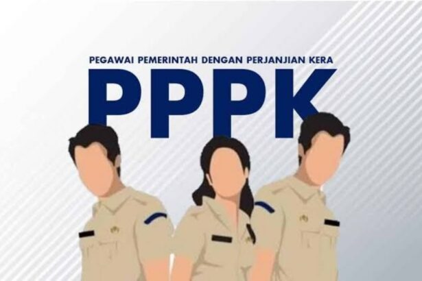 Golongan PPPK Ini Dihentikan Sementara Dari Masa Kerja 2024, Apa Alasannya?