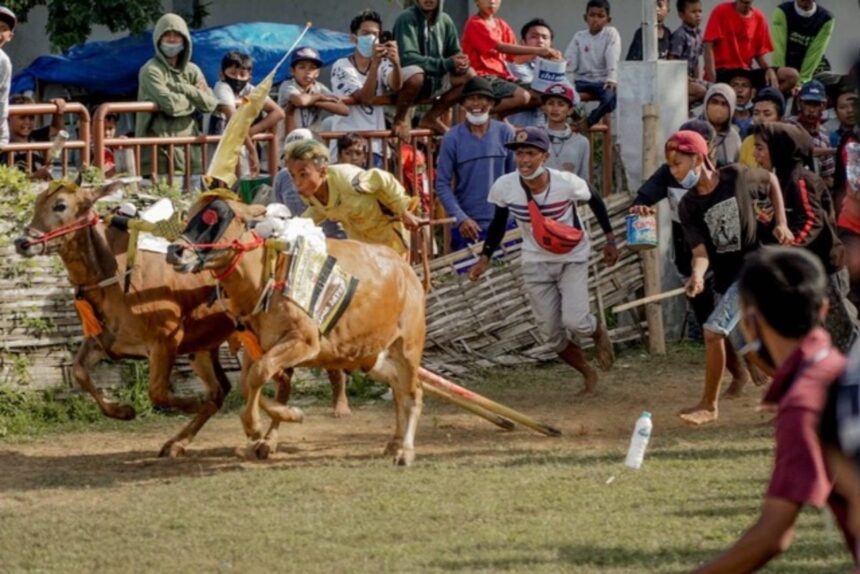 Ini Dia Tradisi Unik Jawa Timur yang Menarik Perhatian Dunia